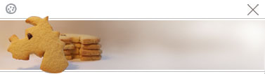 bandeau cookies en forme de CARAMEL