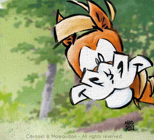 CARAMEL discloses the secret of Mars 1