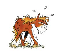 Évolution graphique de CARAMEL : 1993