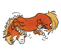 Évolution graphique de CARAMEL : 1995