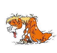 Évolution graphique de CARAMEL : 1996