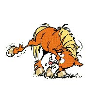 Évolution graphique de CARAMEL : 2000