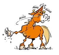 Évolution graphique de CARAMEL : 2004