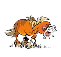 Évolution graphique de CARAMEL : 2010