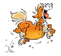 Évolution graphique de CARAMEL : 2014